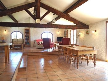 The Living Area