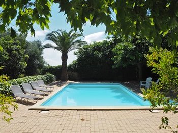 The Pool (1)